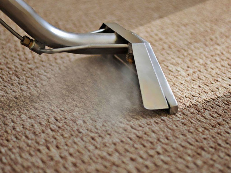 Carpet Cleaning in Tacoma