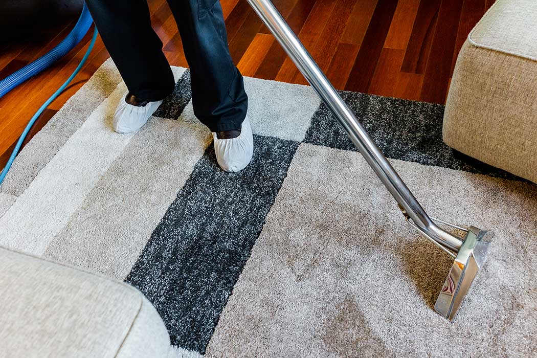 Carpet Cleaning Services in Auburn